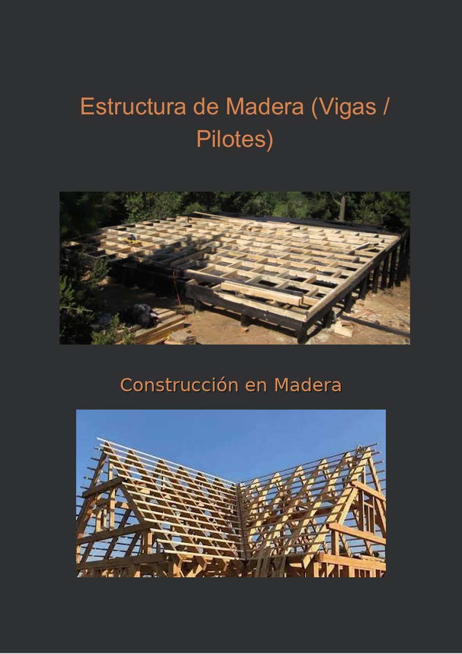 Estructura de madera con vigas y pilotes